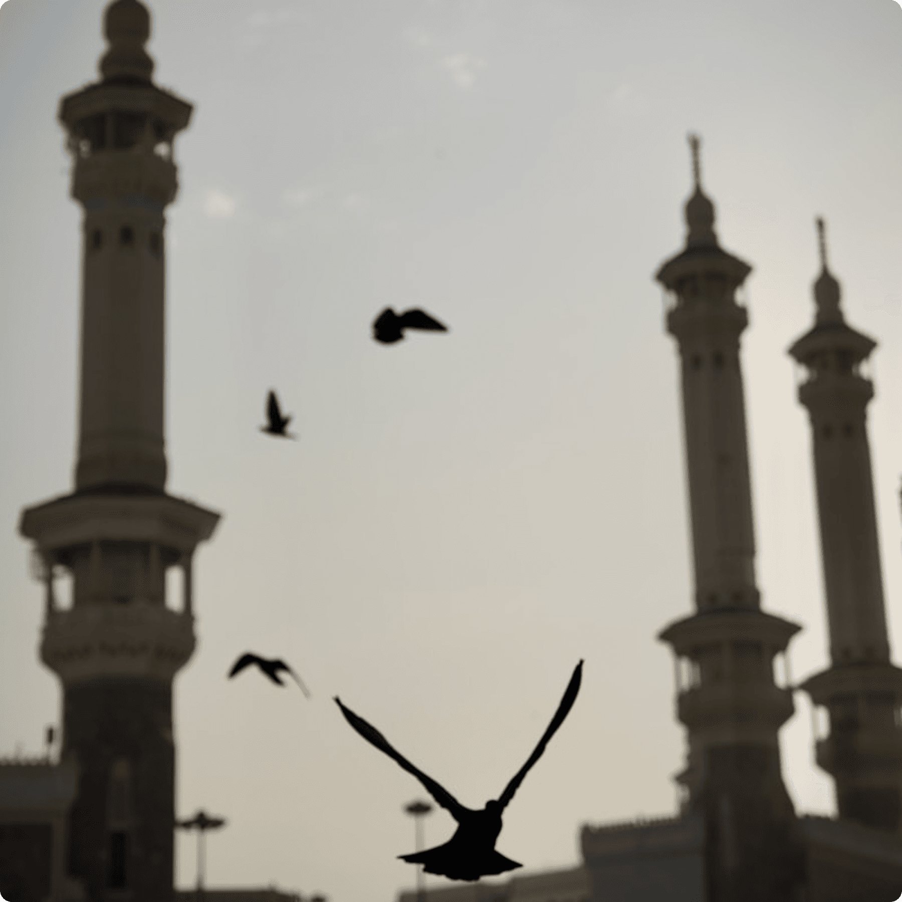 Masjid al-Haram minarets with birds in flight, Makkah